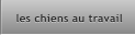 les chiens au travail les chiens au travail