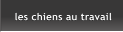 les chiens au travail les chiens au travail