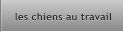 les chiens au travail les chiens au travail