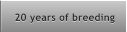 20 years of breeding 20 years of breeding
