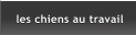 les chiens au travail les chiens au travail