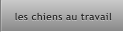 les chiens au travail les chiens au travail