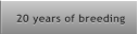 20 years of breeding 20 years of breeding