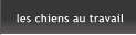 les chiens au travail les chiens au travail